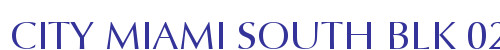 CITY MIAMI SOUTH BLK 020
