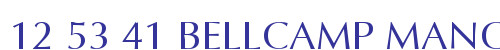 12 53 41 BELLCAMP MANOR