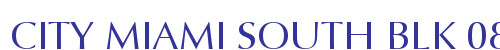CITY MIAMI SOUTH BLK 080