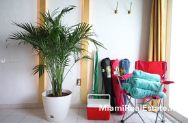 ACADEMY APARTMENTS CONDOM