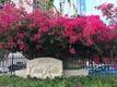 Costa bella condo Unit 311, condo for sale in Miami